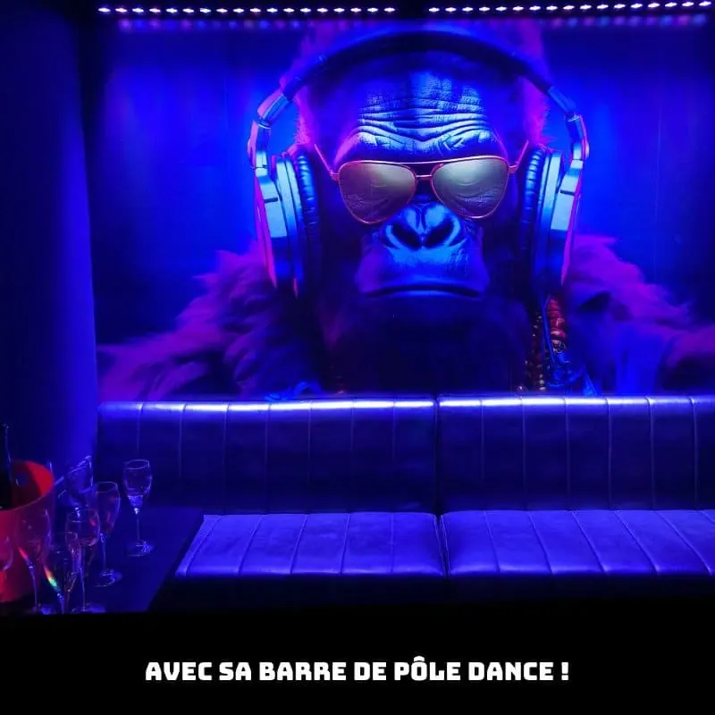 Salle privative de karaoké à Valenciennes DJ Gorilla, avec sa barre de pôle dance, Groupe 14 personnes max