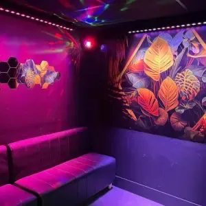 salle jungle salle privative de karaoké a Valenciennes divertybox